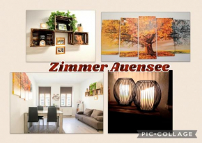 Zimmer Auensee